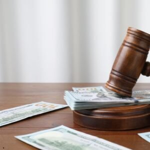 PENSIÓN ALIMENTICIA: DERECHOS, OBLIGACIONES Y PROCESOS LEGALES